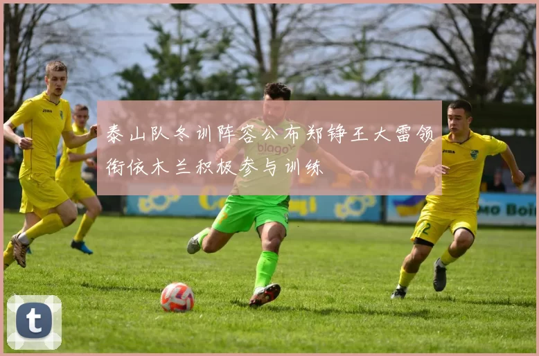泰山队冬训阵容公布郑铮王大雷领衔依木兰积极参与训练