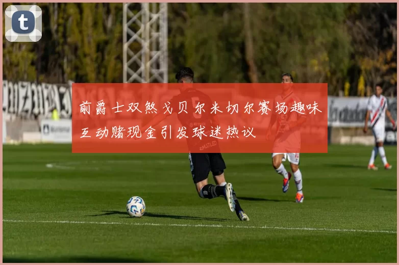 前爵士双煞戈贝尔米切尔赛场趣味互动赌现金引发球迷热议